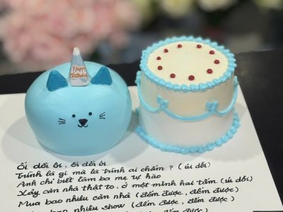 Bánh mèo mini ghi nhiều chữ